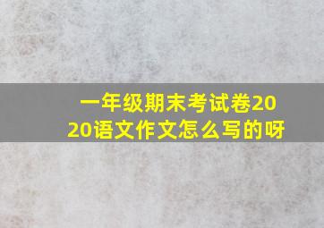 一年级期末考试卷2020语文作文怎么写的呀