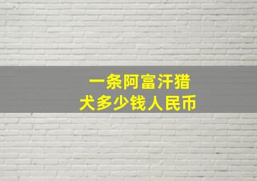 一条阿富汗猎犬多少钱人民币