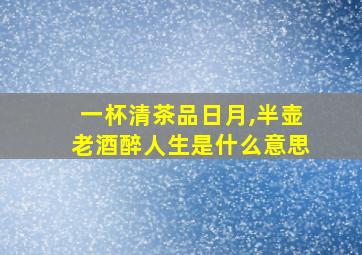 一杯清茶品日月,半壶老酒醉人生是什么意思