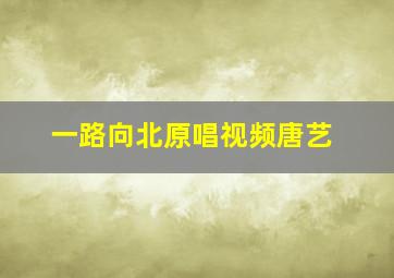 一路向北原唱视频唐艺