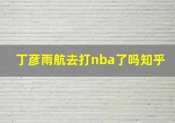 丁彦雨航去打nba了吗知乎