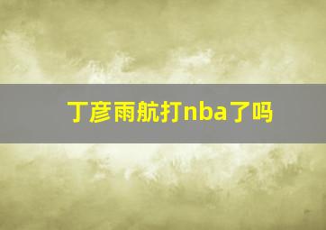 丁彦雨航打nba了吗