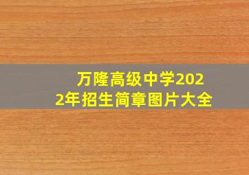 万隆高级中学2022年招生简章图片大全