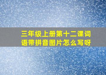 三年级上册第十二课词语带拼音图片怎么写呀