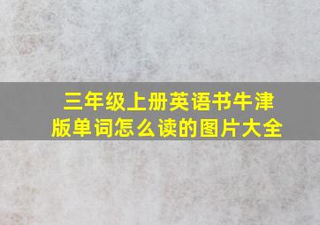 三年级上册英语书牛津版单词怎么读的图片大全