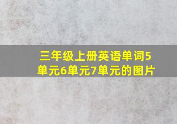 三年级上册英语单词5单元6单元7单元的图片