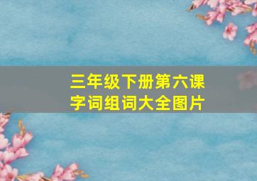 三年级下册第六课字词组词大全图片