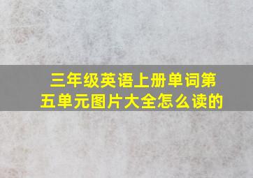 三年级英语上册单词第五单元图片大全怎么读的