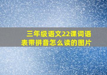 三年级语文22课词语表带拼音怎么读的图片