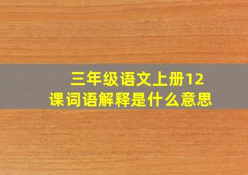 三年级语文上册12课词语解释是什么意思