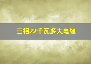 三相22千瓦多大电缆