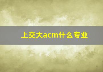 上交大acm什么专业