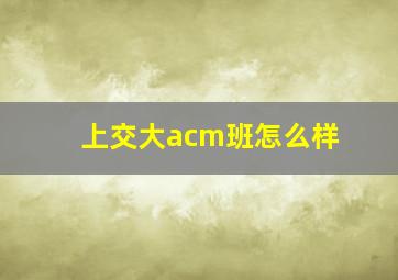 上交大acm班怎么样