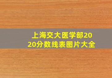 上海交大医学部2020分数线表图片大全