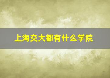 上海交大都有什么学院