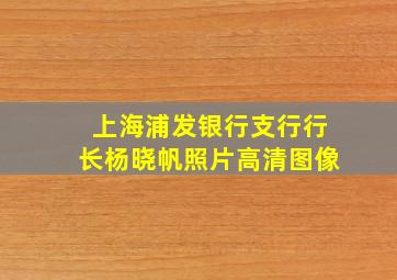 上海浦发银行支行行长杨晓帆照片高清图像