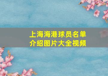 上海海港球员名单介绍图片大全视频