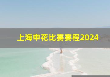 上海申花比赛赛程2024