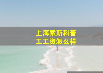 上海索斯科普工工资怎么样