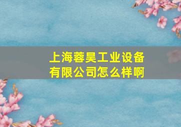 上海蓉昊工业设备有限公司怎么样啊