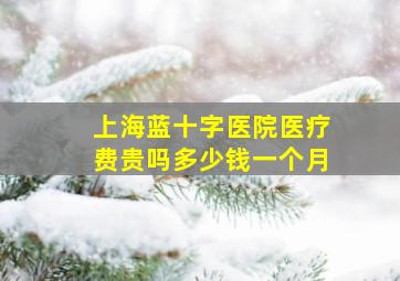 上海蓝十字医院医疗费贵吗多少钱一个月