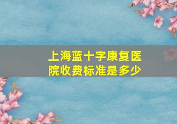 上海蓝十字康复医院收费标准是多少