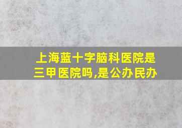 上海蓝十字脑科医院是三甲医院吗,是公办民办