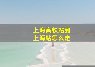 上海高铁站到上海站怎么走