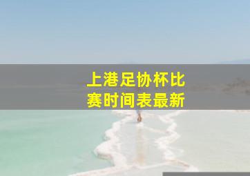 上港足协杯比赛时间表最新