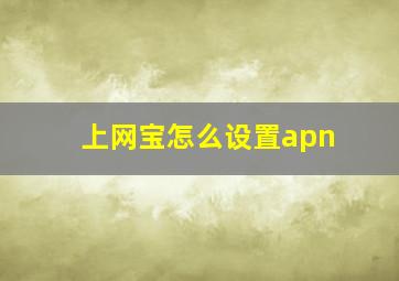 上网宝怎么设置apn