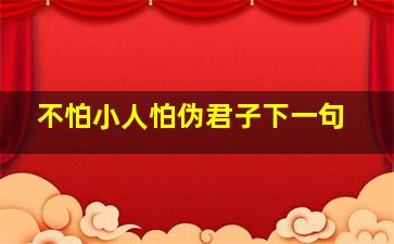 不怕小人怕伪君子下一句