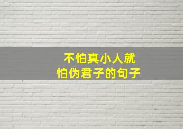 不怕真小人就怕伪君子的句子