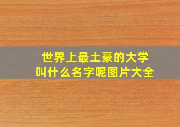 世界上最土豪的大学叫什么名字呢图片大全