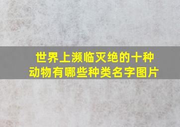 世界上濒临灭绝的十种动物有哪些种类名字图片