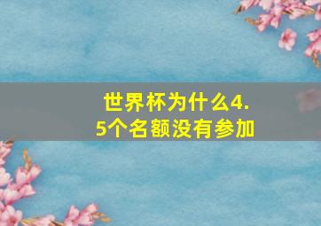 世界杯为什么4.5个名额没有参加