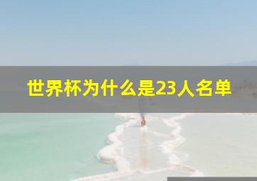 世界杯为什么是23人名单