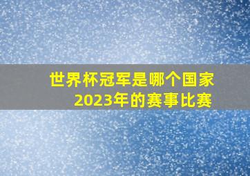 世界杯冠军是哪个国家2023年的赛事比赛