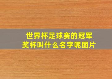 世界杯足球赛的冠军奖杯叫什么名字呢图片