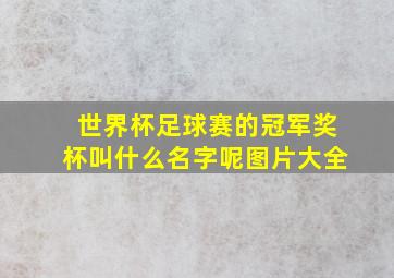 世界杯足球赛的冠军奖杯叫什么名字呢图片大全