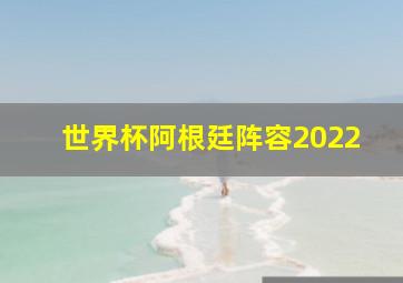 世界杯阿根廷阵容2022