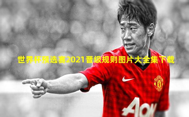 世界杯预选赛2021晋级规则图片大全集下载