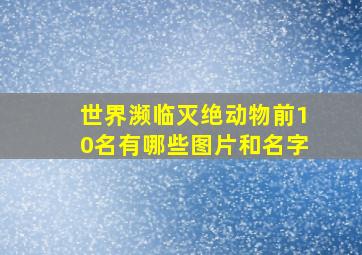 世界濒临灭绝动物前10名有哪些图片和名字