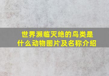 世界濒临灭绝的鸟类是什么动物图片及名称介绍