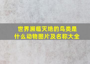 世界濒临灭绝的鸟类是什么动物图片及名称大全