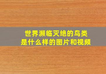 世界濒临灭绝的鸟类是什么样的图片和视频