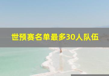 世预赛名单最多30人队伍