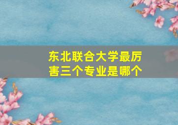 东北联合大学最厉害三个专业是哪个