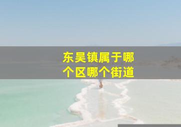 东吴镇属于哪个区哪个街道