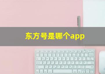 东方号是哪个app