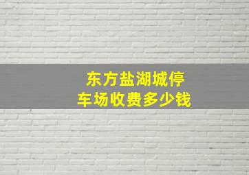 东方盐湖城停车场收费多少钱